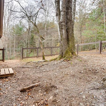 Peaceful Warne Cabin Fenced Yard And Screened Porch Brasstown Екстер'єр фото