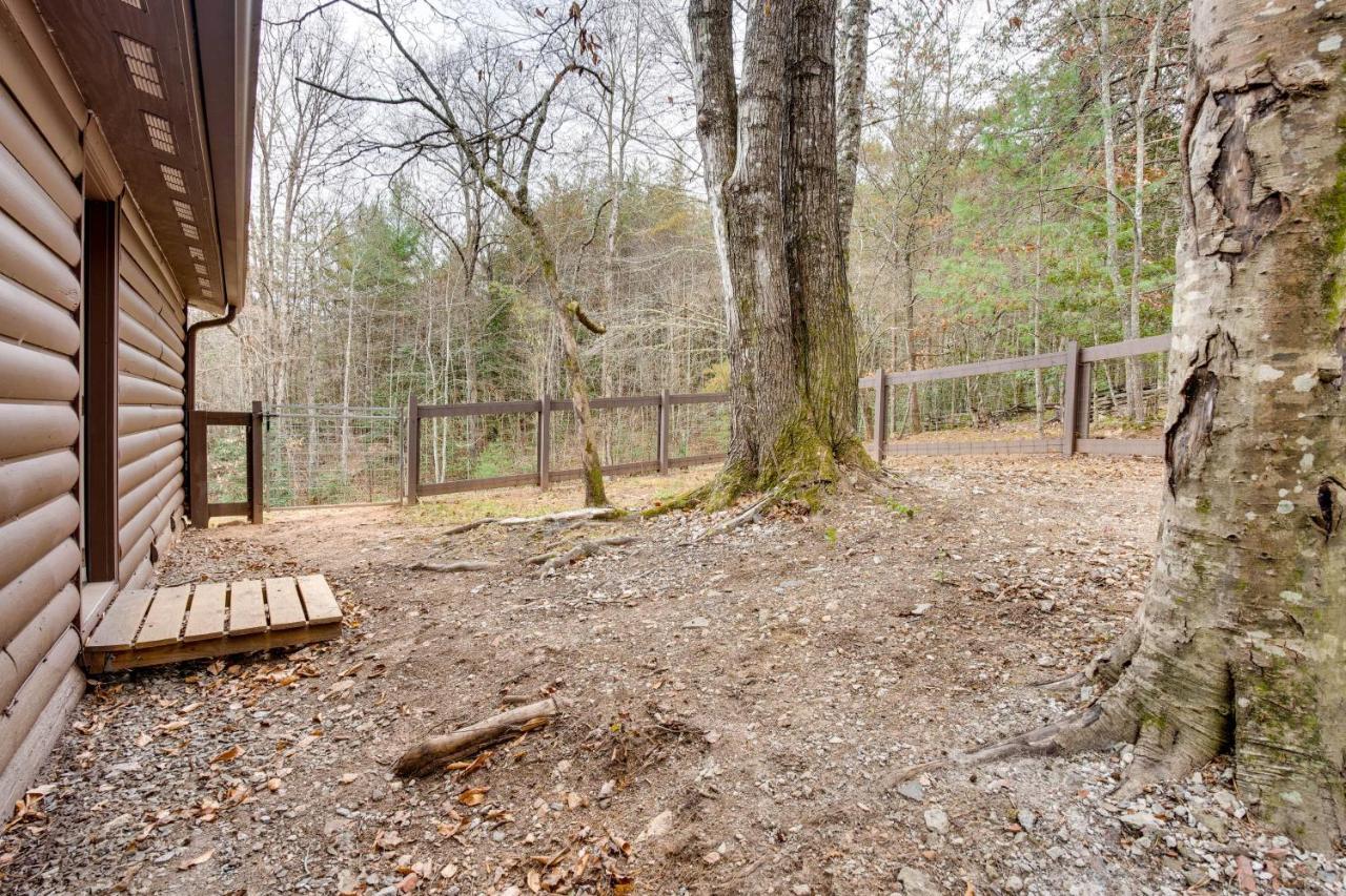 Peaceful Warne Cabin Fenced Yard And Screened Porch Brasstown Екстер'єр фото